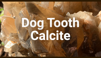 Dog Tooth Calcite