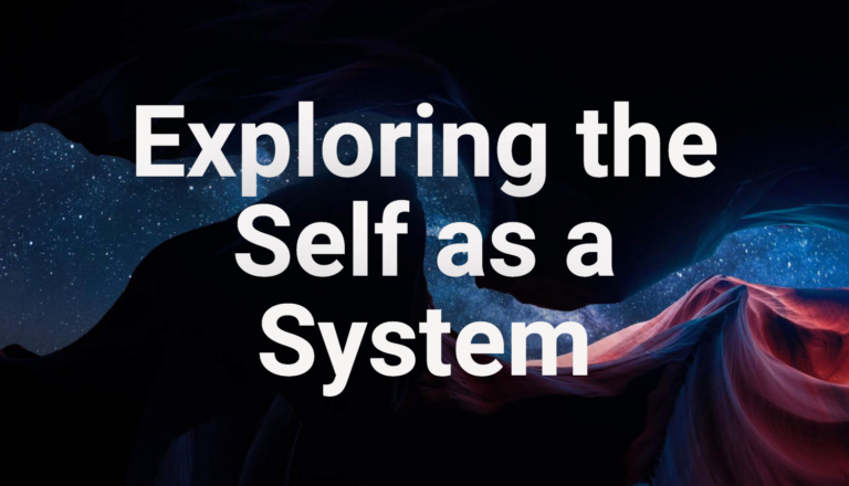 Exploring the Self as a System